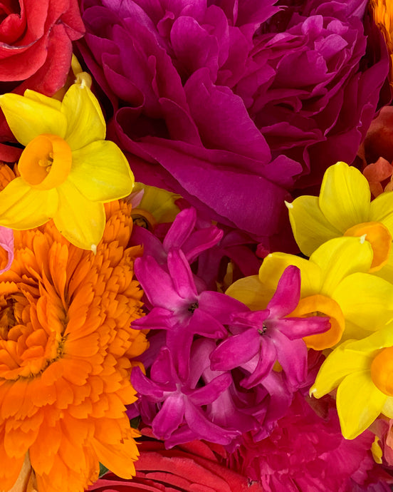 For the Flowergirl - Fiesta