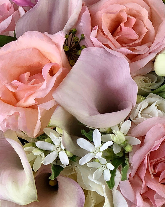 For the Flower Girl - Margherita