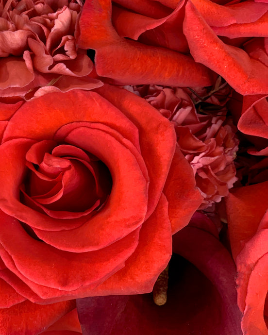 For the Flowergirl - Sandia